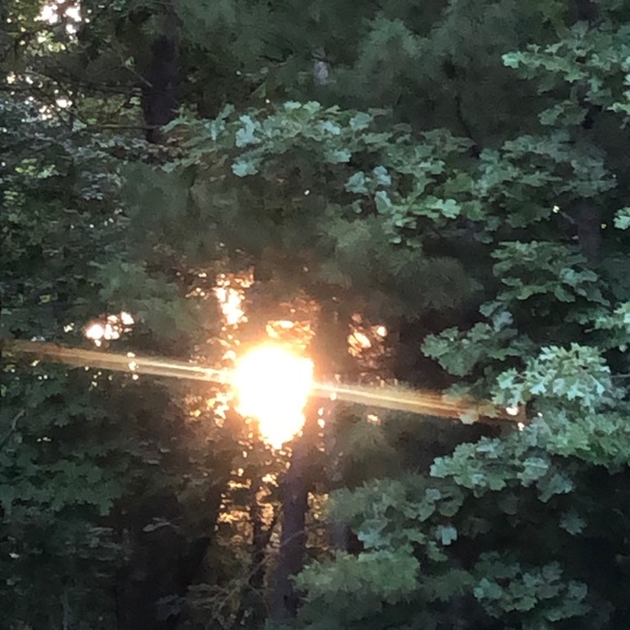 Make reasonable offer - Picture 2 of 15